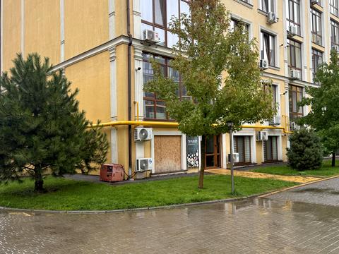 коммерческая по адресу Дача Ковалевского ул., 121 к1