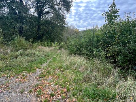 ділянка за адресою 