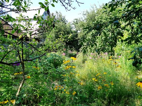 участок по адресу Евгения Патона ул., 8