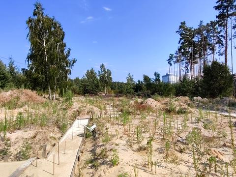 участок по адресу незалежності