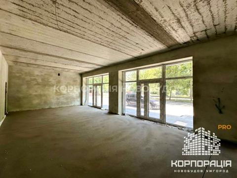 коммерческая по адресу Капушанская ул., 170