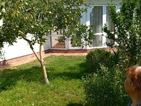 будинок за адресою Центральна вул. (Пролетарська), 79/80