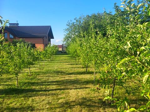 будинок за адресою Ватутіна пров., 99