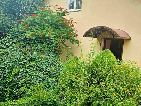 будинок за адресою Шкільна вул., 5