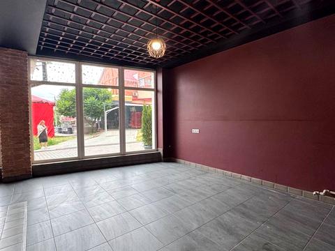 комерційна за адресою Панаса Мирного вул., 19а