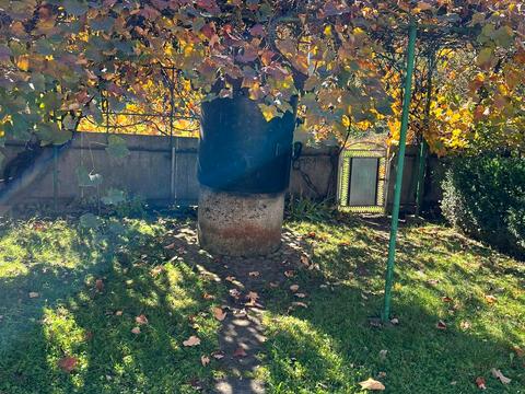 будинок за адресою с. Олеша, Грушевського