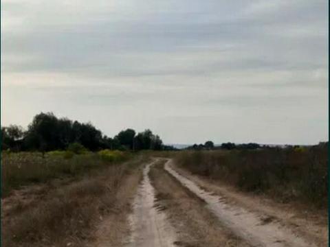 участок по адресу Струмковий провулок, 10