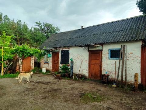 дом по адресу Мирна