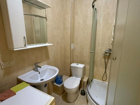 квартира по адресу Дача Ковалевского ул., 121 к1