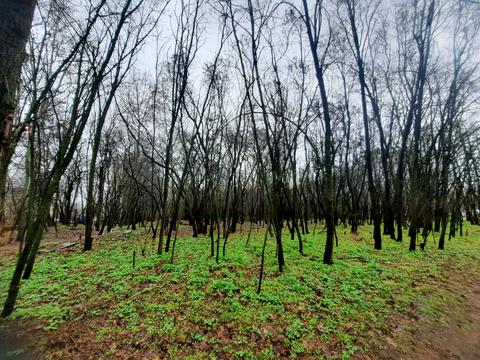 квартира за адресою Тираспольська вул., 58