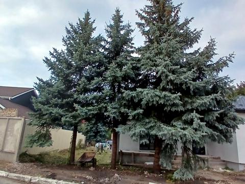 дом по адресу пгт. Гостомель, 9 провулок