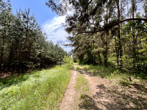 ділянка за адресою 