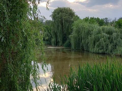 будинок за адресою с. Братське, крутогірна