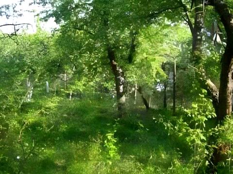 будинок за адресою Берестейський просп. (Перемоги), 15-й км