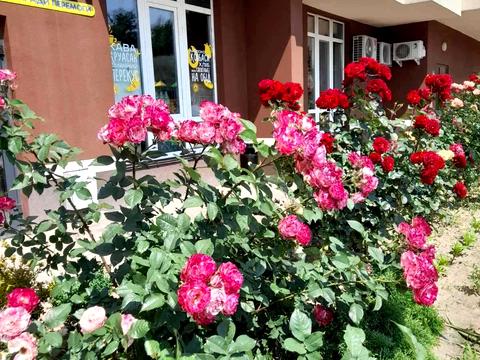 квартира за адресою Польова вул., 73