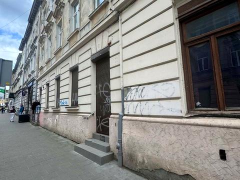 комерційна за адресою Пантелеймона Куліша вул., 24