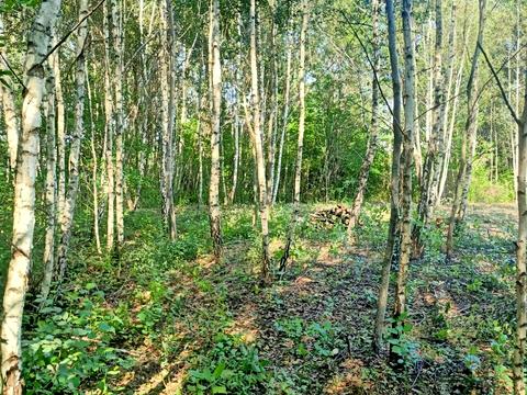 ділянка за адресою Михайла Зорія