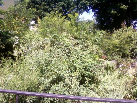 будинок за адресою Мускатна вул. (Зої Космодем'янської), 5