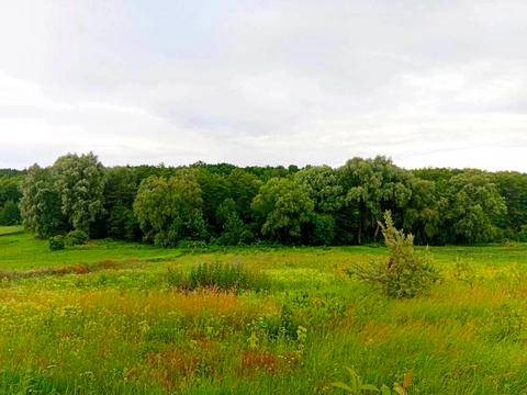 будинок за адресою с. Макіївка, Польова