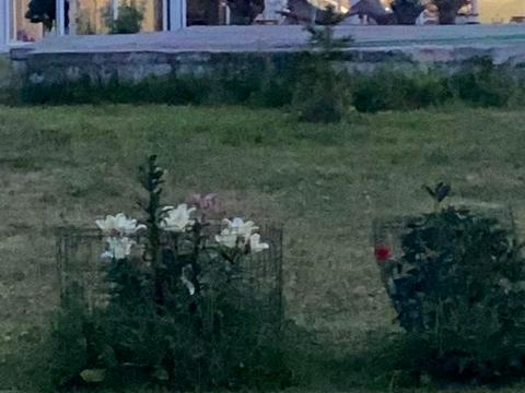 будинок за адресою Котляревського
