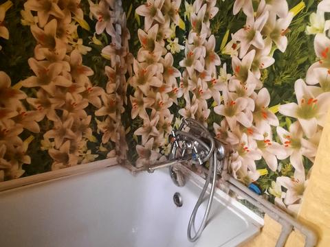 квартира по адресу пр.центральный, 81