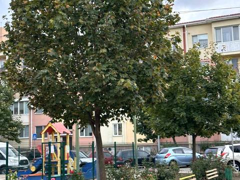 квартира по адресу Проездная ул., 12
