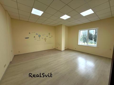 комерційна за адресою Рональда Рейгана вул., 17