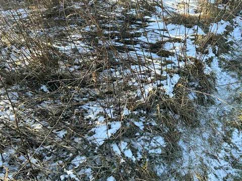ділянка за адресою с. Красилівка, Грушева