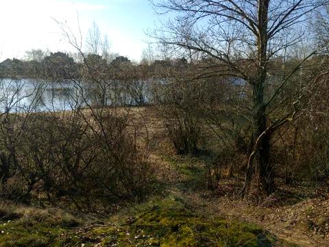 ділянка за адресою Сади Дніпра