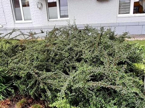 квартира по адресу Михайлівська, 8