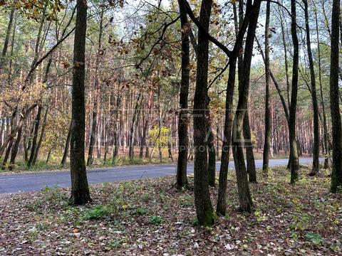 будинок за адресою Бориспільський