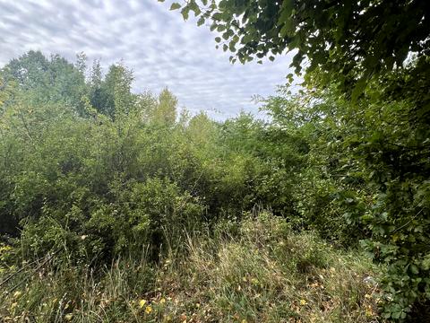 участок по адресу с. Каменица, 