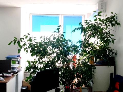 коммерческая по адресу Болсуновская ул. (Сергея Струтинского), 8