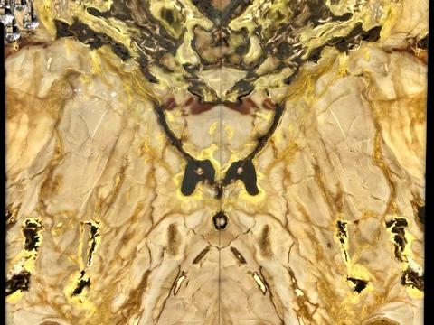 квартира по адресу Евгения Коновальца ул. (Щорса), 26-А