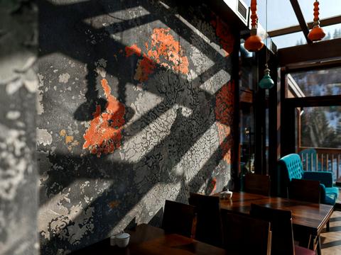 коммерческая по адресу с. Поляница, Вишні, 1