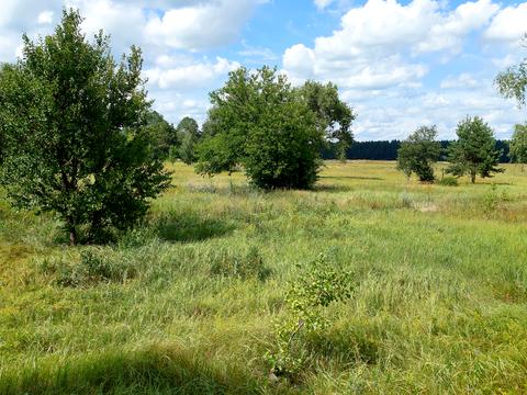 участок по адресу Остер, Одинця, 136