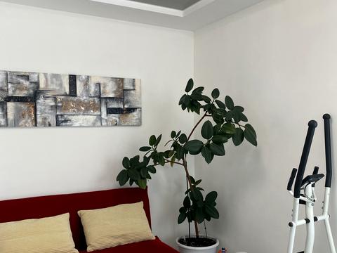 квартира за адресою Чорновола, 27