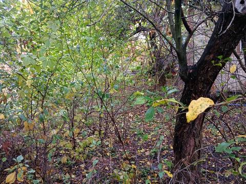 участок по адресу Богатырская ул., 42