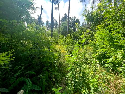 ділянка за адресою Котляревського