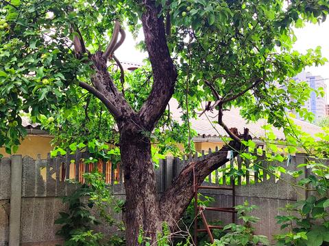 будинок за адресою В'ячеслава Чорновола вул. (Юрія Савченка), 27