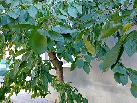 будинок за адресою Грінченка вул., 431