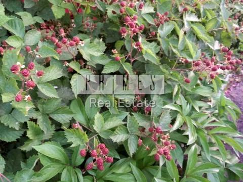 дом по адресу Сеноманський