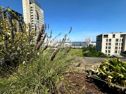 квартира по адресу Володимира Вернадського ул. (Дзержинського), 35-Т