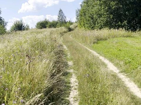 участок по адресу Щорса