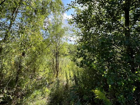 участок по адресу Северинівська