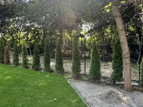 будинок за адресою Березова вул.