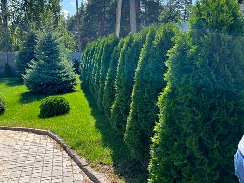 будинок за адресою Лісова