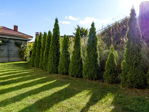 дом по адресу Ранкова