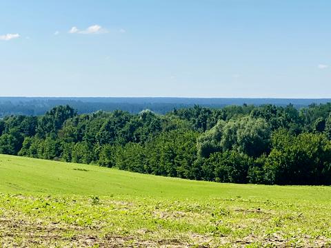 участок по адресу Балістична
