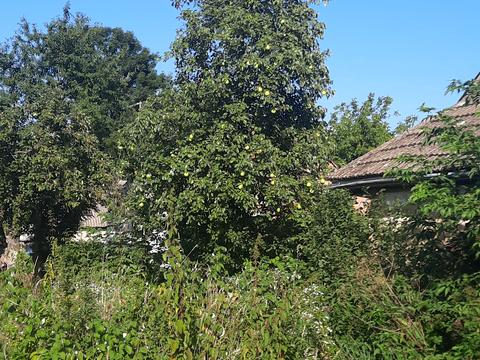 будинок за адресою Незалежності